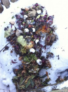 Kompost på sne