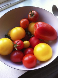 Permagode tomater